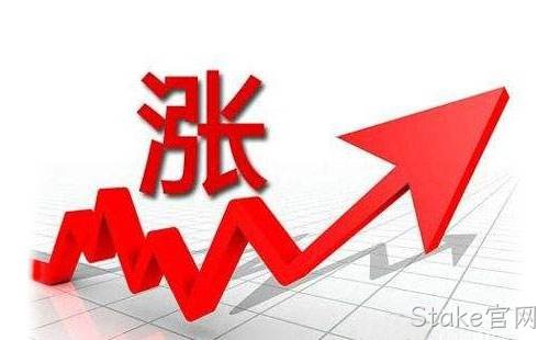 Stake官网价格调整通知函20201224